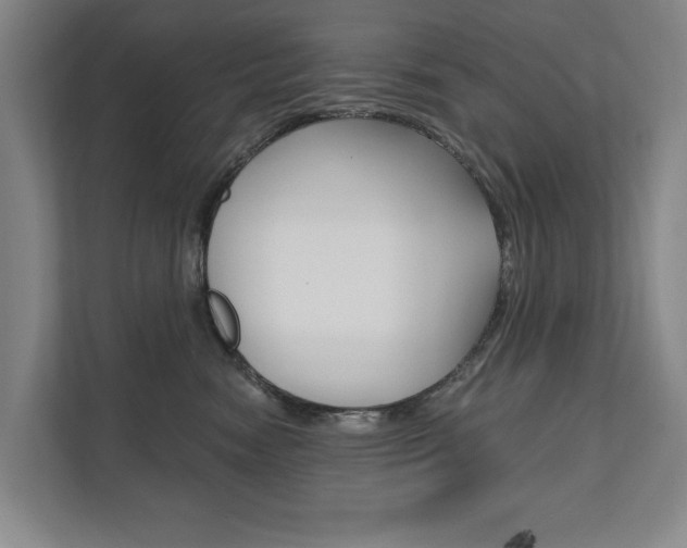 X0000111800474200907230959