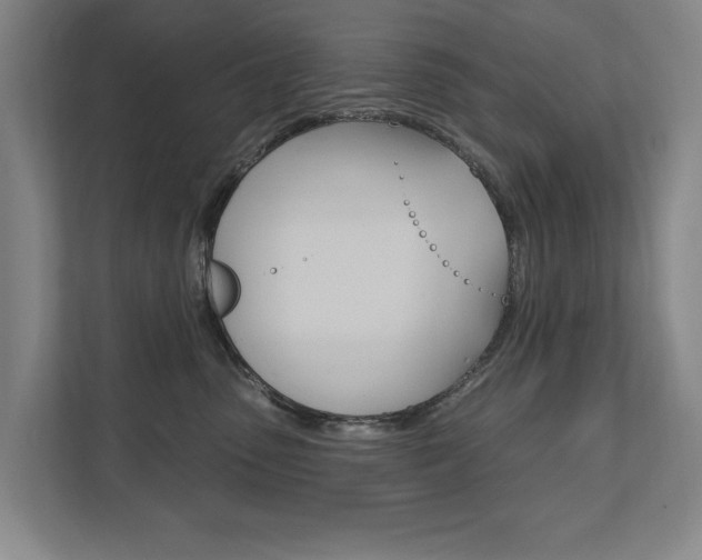 X0000111800475200907230959