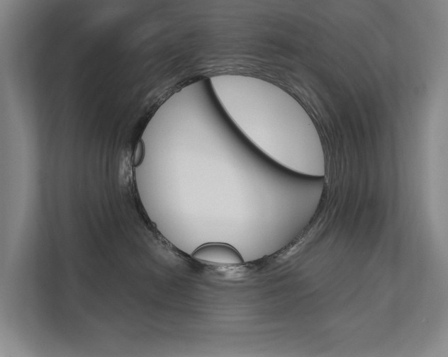 X0000111800478200907230959