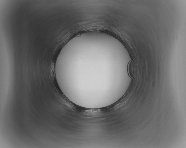 X0000111800480200907230959