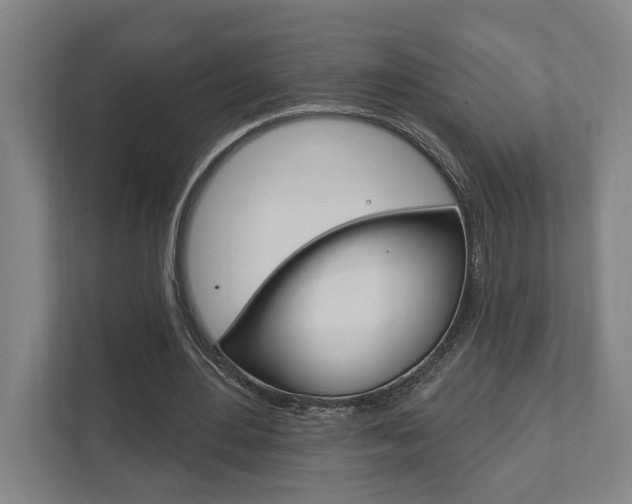 X0000111800484200907230958