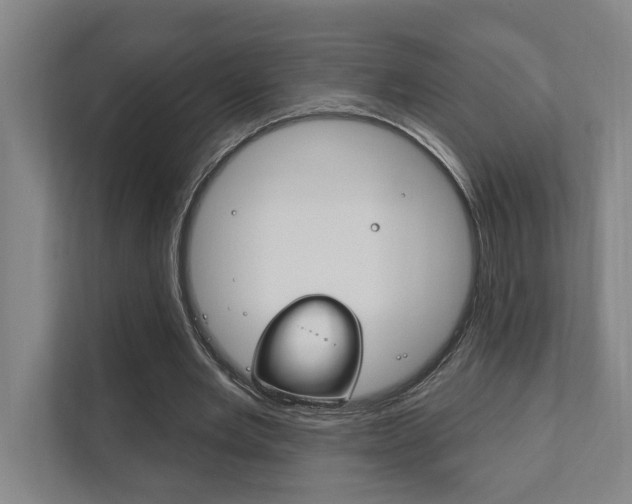 X0000111800485200907230958
