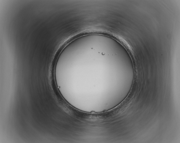 X0000111800487200907230958