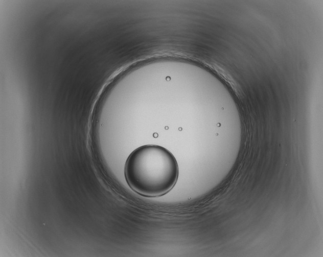 X0000111800488200907230958