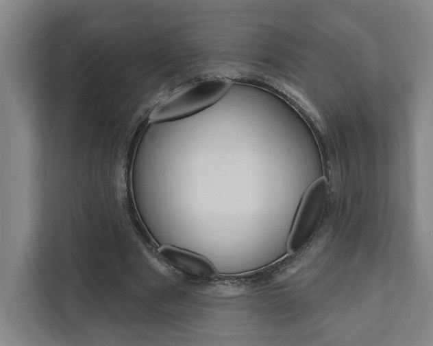 X0000111800489200907230958