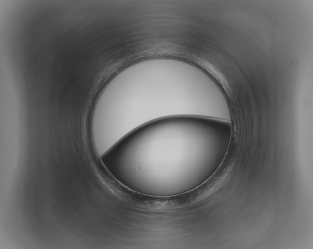 X0000111800493200907230958