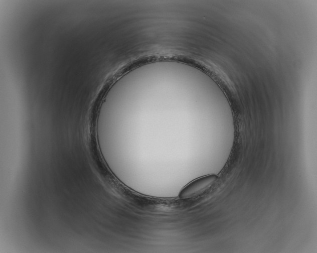 X0000111800496200907230958