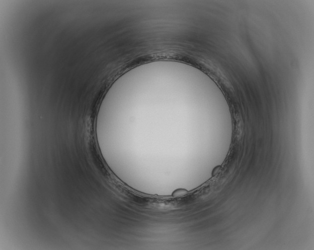 X0000111800498200907230958