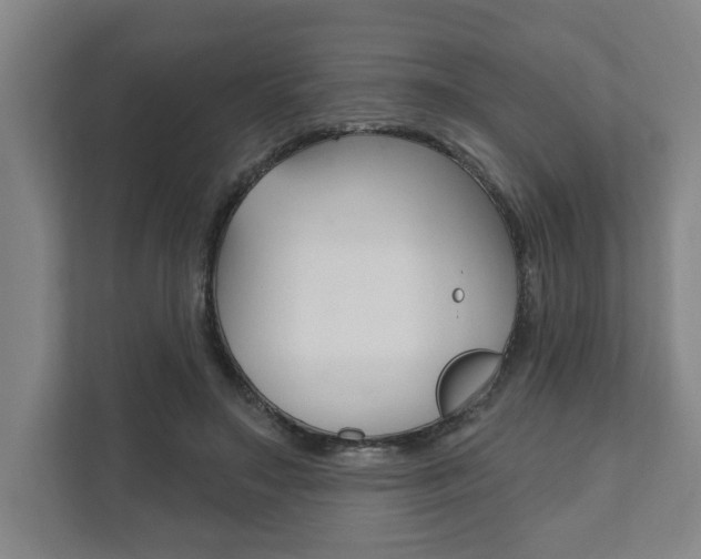 X0000111800499200907230958
