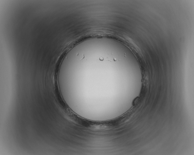 X0000111800500200907230958