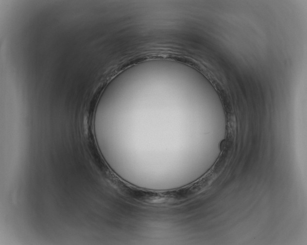 X0000111800504200907230958