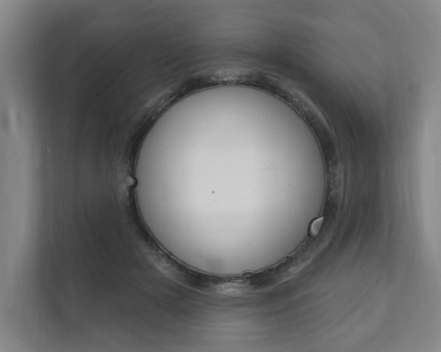 X0000111800505200907230958