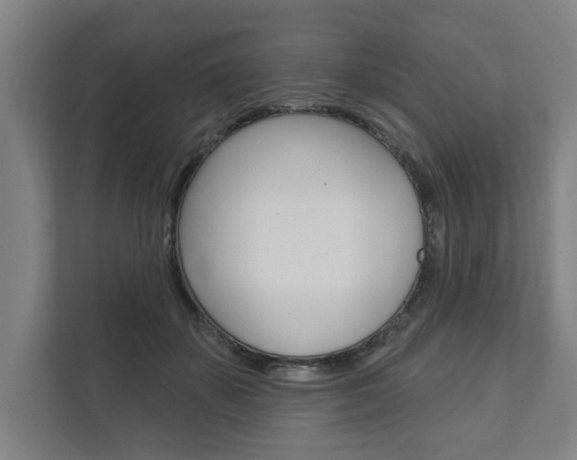X0000111800507200907230958