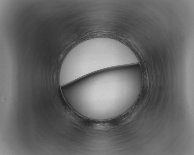 X0000111800508200907230958