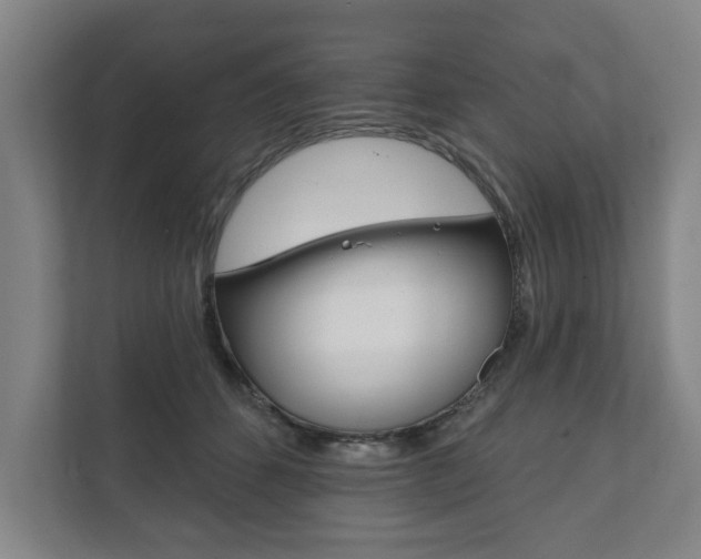X0000111800512200907230958