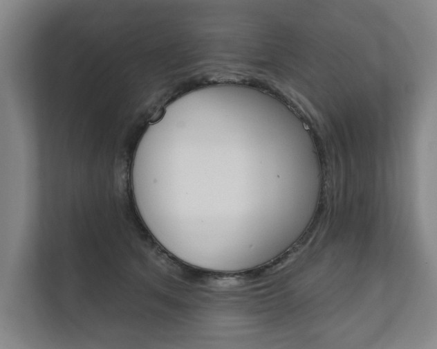 X0000111800513200907230958