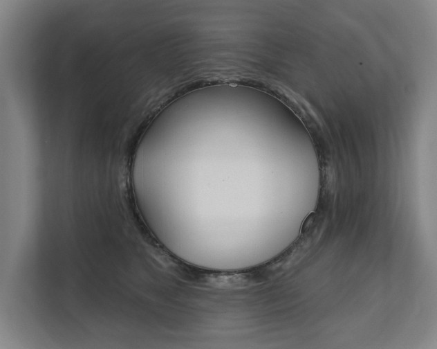 X0000111800517200907230958