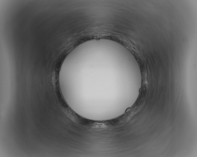 X0000111800519200907230958