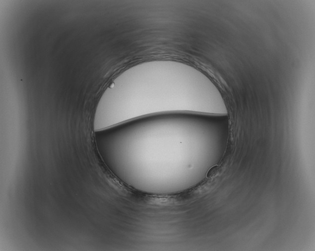 X0000111800521200907230958