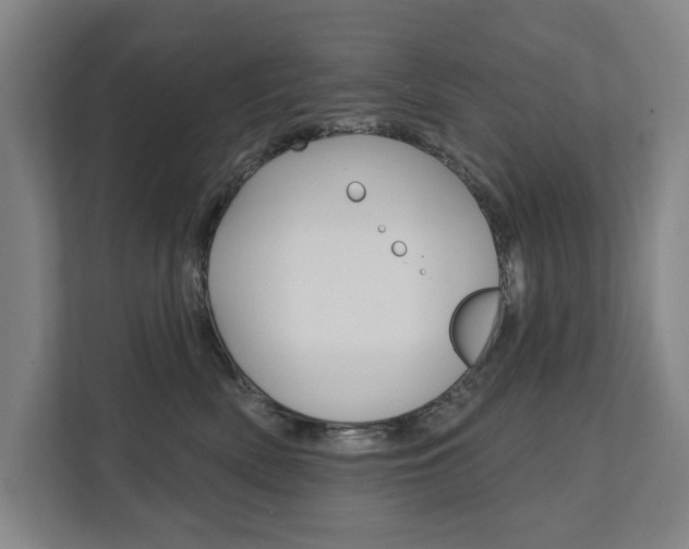 X0000111800522200907230958