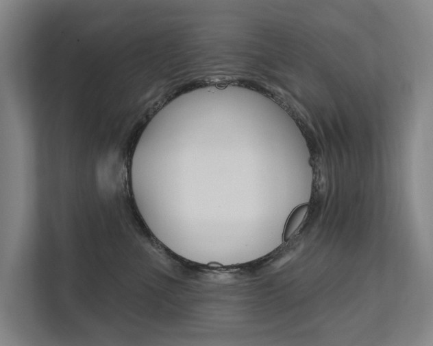 X0000111800523200907230958