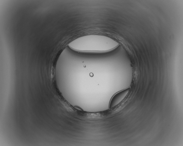 X0000111800525200907230958