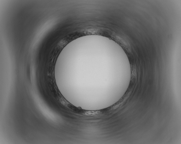 X0000111800526200907230958