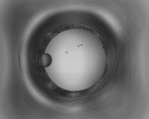 X0000111800527200907230958