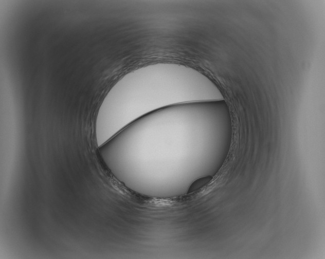 X0000111800528200907230958