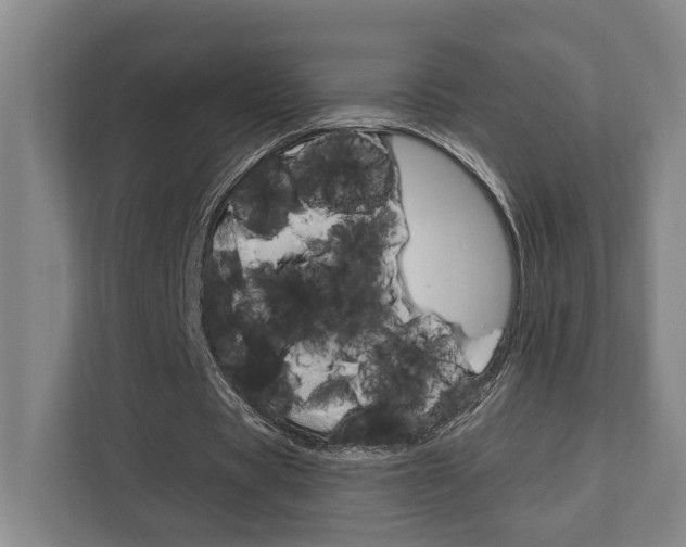 X0000111800529200907230957