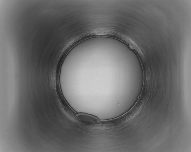 X0000111800530200907230957
