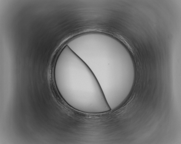 X0000111800531200907230957