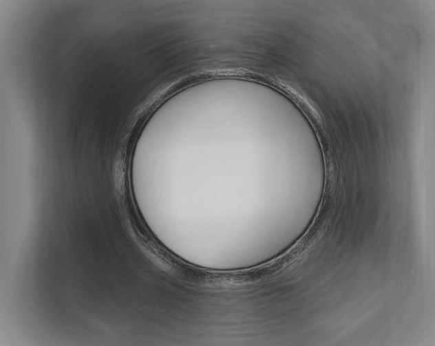 X0000111800533200907230957