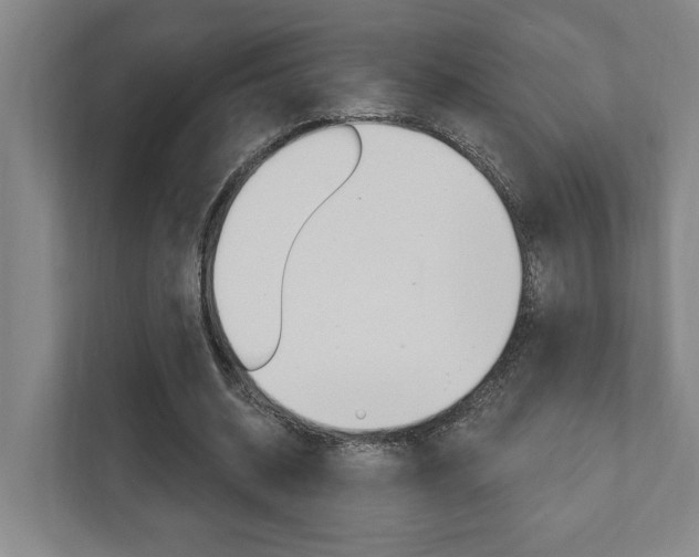 X0000111800534200907230957