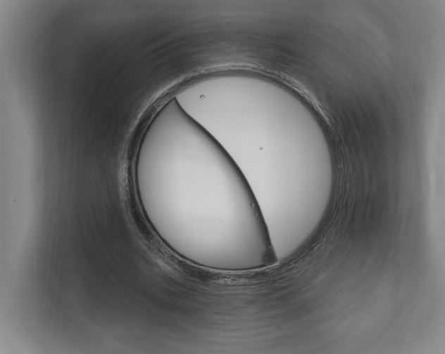 X0000111800535200907230957