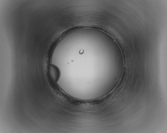 X0000111800544200907230957