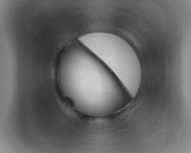 X0000111800546200907230957