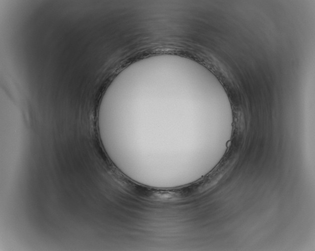 X0000111800557200907230957