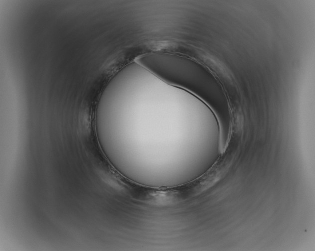 X0000111800558200907230957