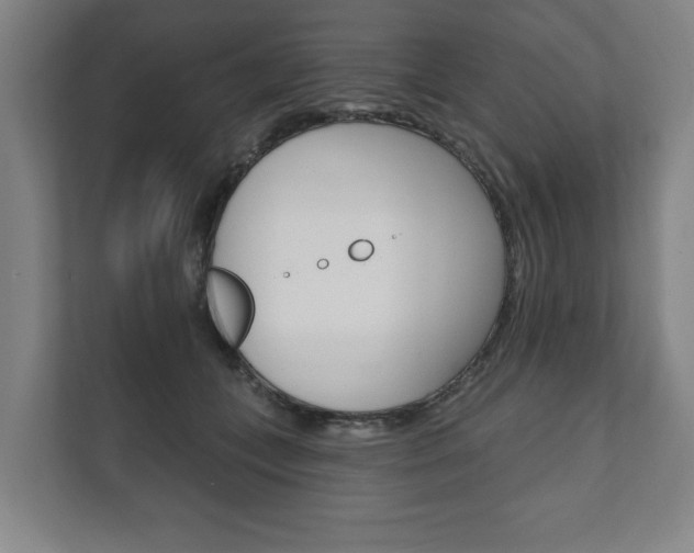 X0000111800559200907230957