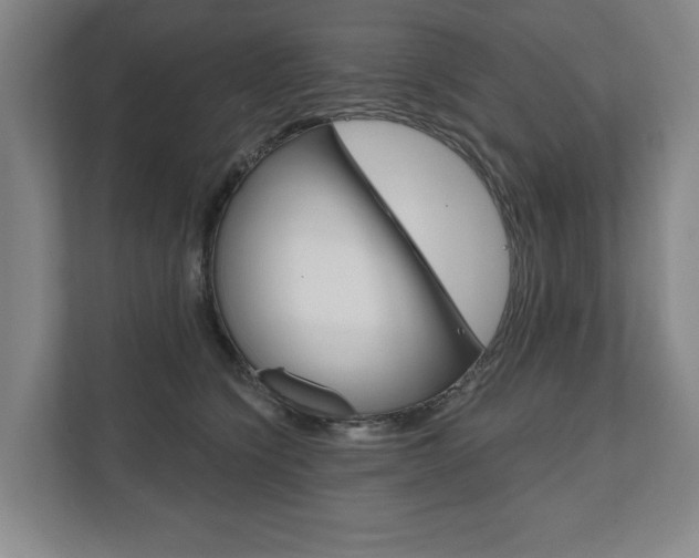 X0000111800564200907230957