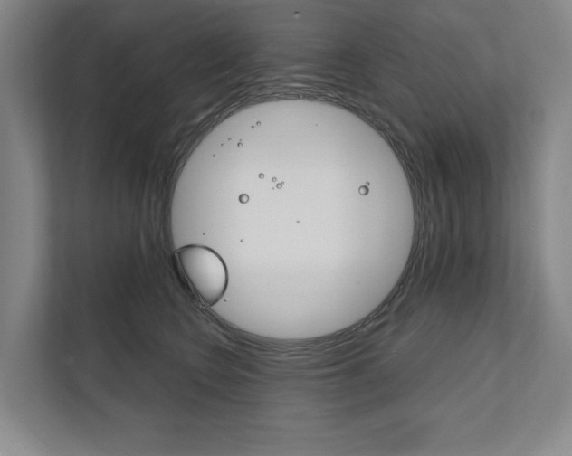 X0000111800566200907230957
