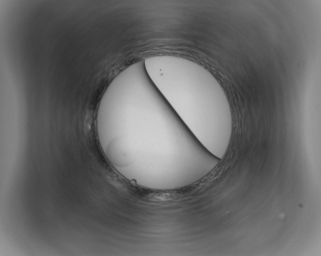 X0000111800567200907230957