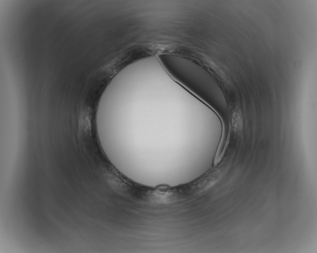 X0000111800570200907230958