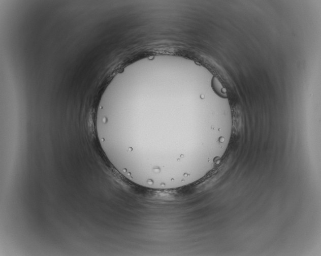 X0000111800573200907230958