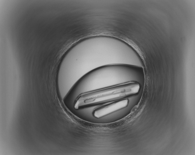 X0000111800577200907230957