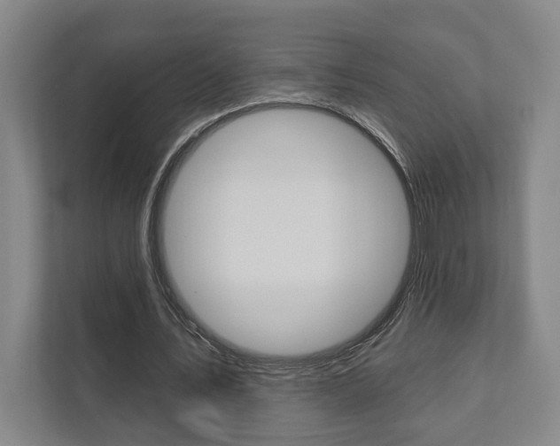 X0000111800579200907230957