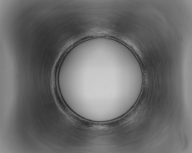 X0000111800582200907230957