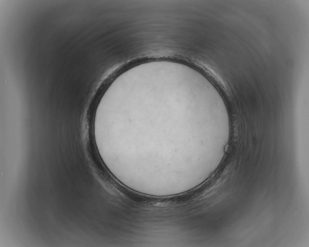 X0000111800584200907230957