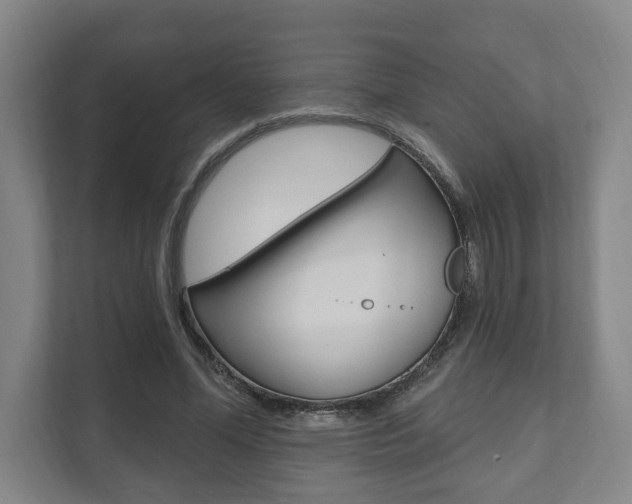 X0000111800588200907230957